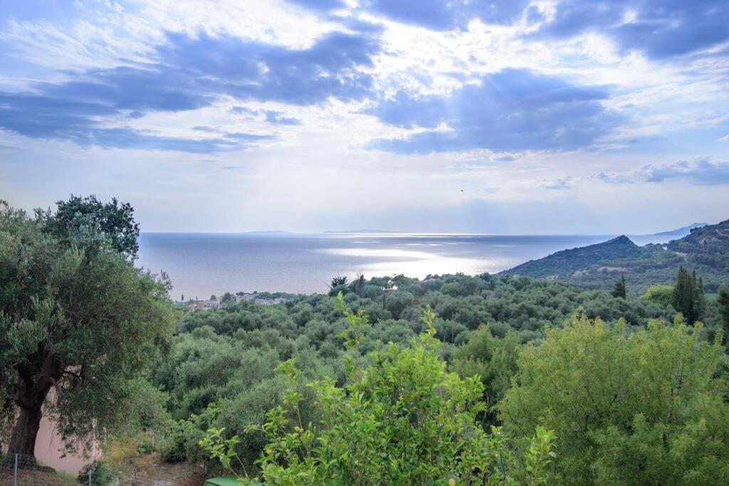 Panorama Holiday home *